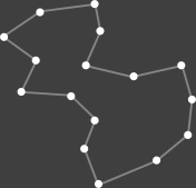An irregular polygon SVG path made up of many straight-line nodes